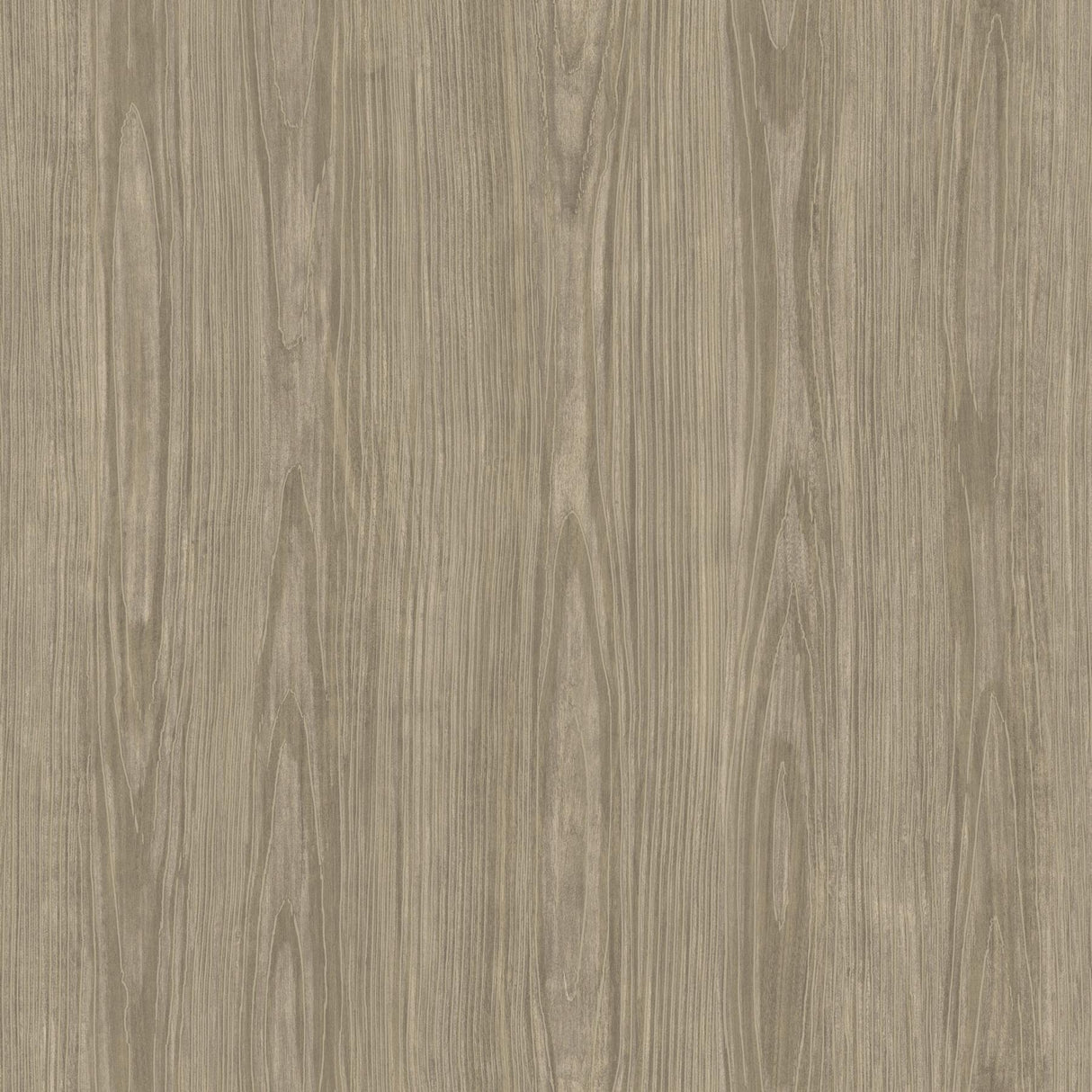 A-Street Prints Trilogy Wood Light Brown Wallpaper