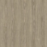 A-Street Prints Trilogy Wood Light Brown Wallpaper