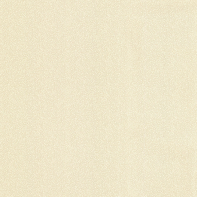 Brewster Home Fashions Bess Beige Bubble Texture Wallpaper