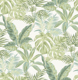 Brewster Home Fashions Madagascar Peel & Stick Wallpaper