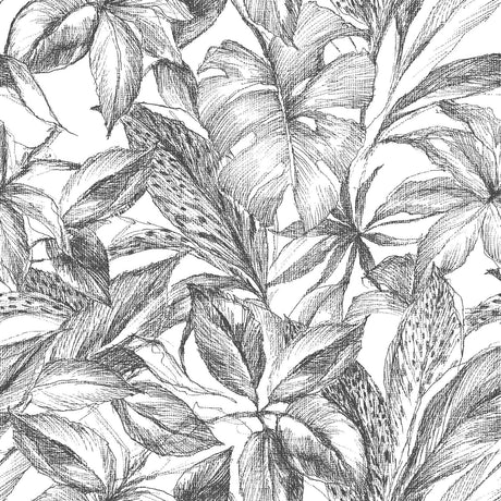 Brewster Home Fashions Black Canopy Peel & Stick Wallpaper