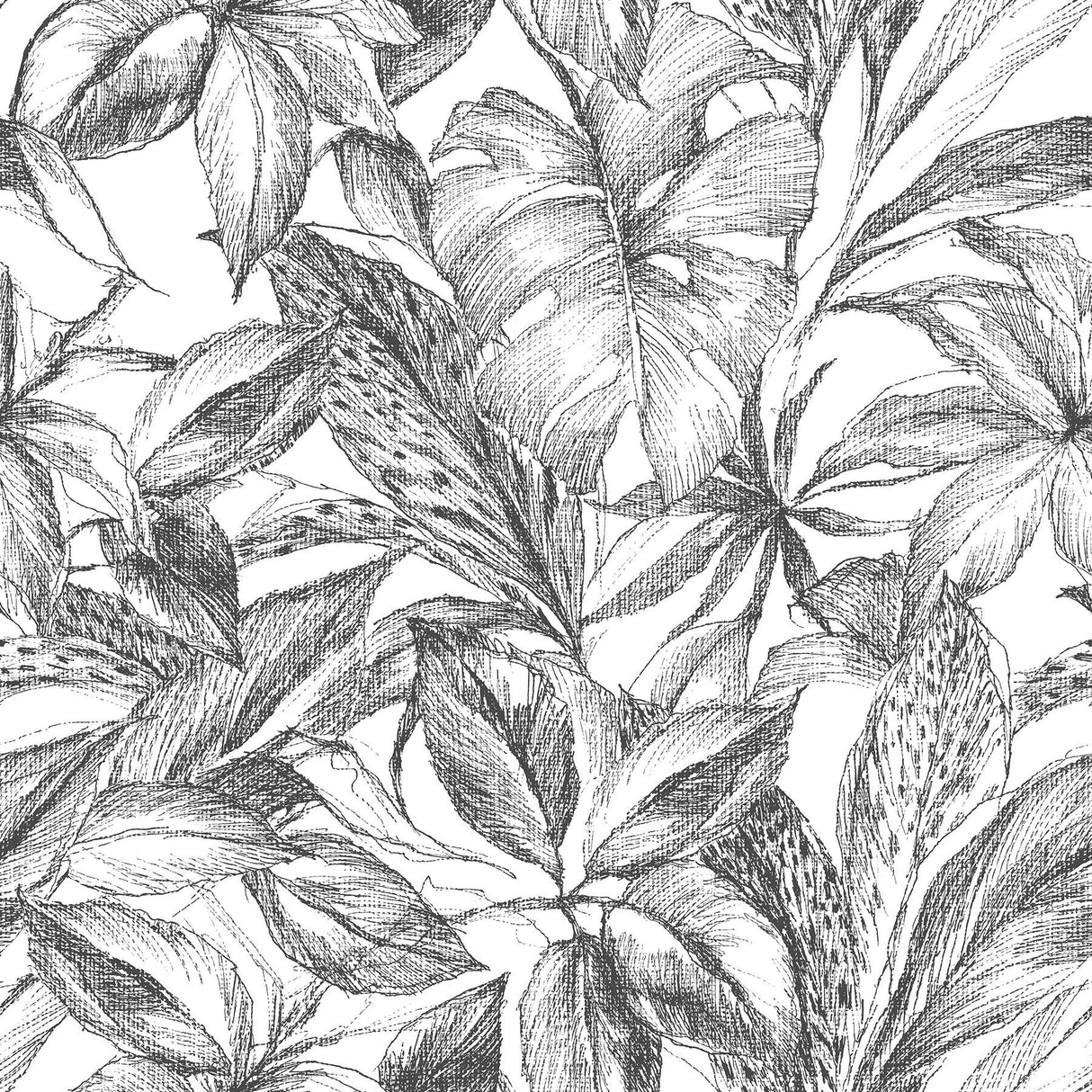 Brewster Home Fashions Black Canopy Peel & Stick Black & White Wallpaper