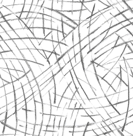 Brewster Home Fashions Black Imprint Peel & Stick Black & White Wallpaper