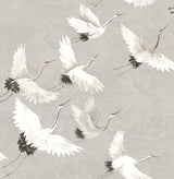 Brewster Home Fashions Halcyon Peel & Stick Grey Wallpaper