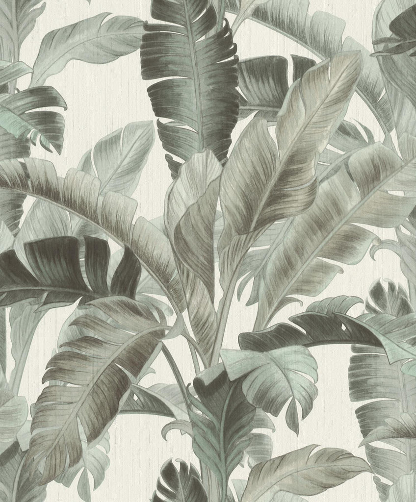 Brewster Home Fashions Orissa Sage Palm Frond Wallpaper