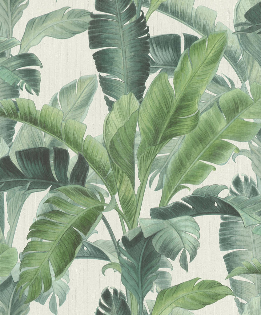 Brewster Home Fashions Orissa Green Palm Frond Wallpaper