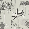 Brewster Home Fashions Sanjay Grey Tropical Grove Wallpaper