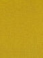Scalamandre Sal Golden Rod Fabric