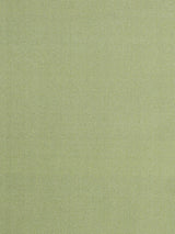 Scalamandre Siam Celadon Fabric