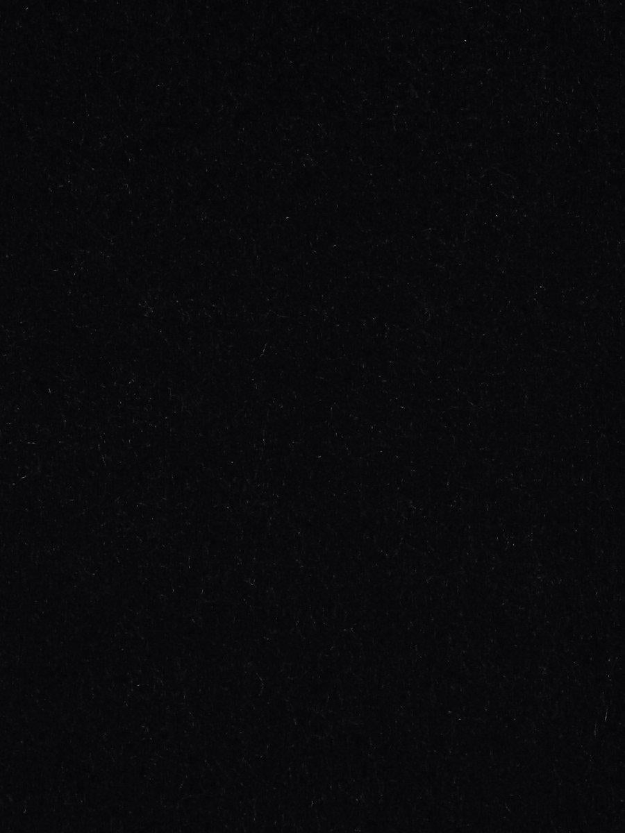 Scalamandre Apollodor Raven Fabric