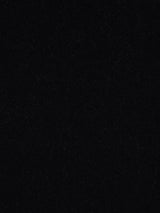 Scalamandre Apollodor Raven Fabric