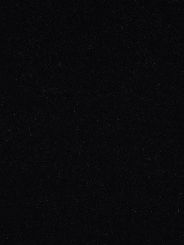 Scalamandre Apollodor Raven Fabric