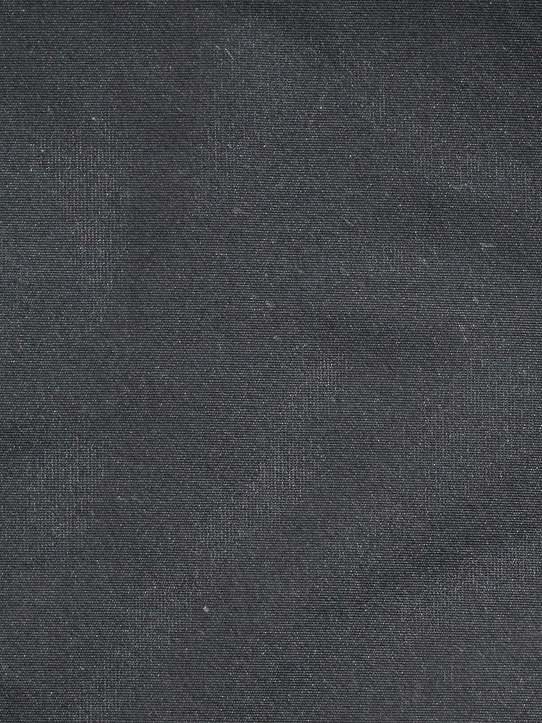 Christian Fischbacher TAFFETA BS BLACK Fabric