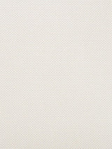 Scalamandre Foggy Drizzle Fabric