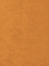 Scalamandre Project Water Repellent Curry Fabric