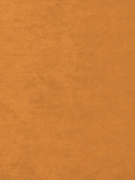 Scalamandre Project Water Repellent Curry Fabric