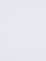 Scalamandre Ambiance Fr Snow Fabric