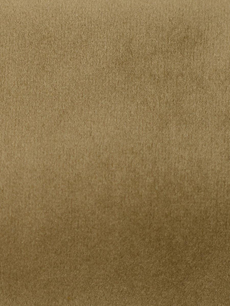 Aldeco Safety Velvet Simply Taupe Fabric