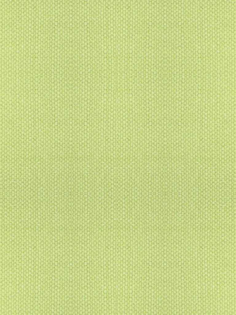 Alhambra ASPEN BRUSHED WIDE MIMOSA Fabric