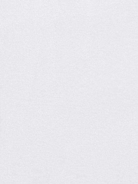 Scalamandre Pierrot Havane/Multi Fabric