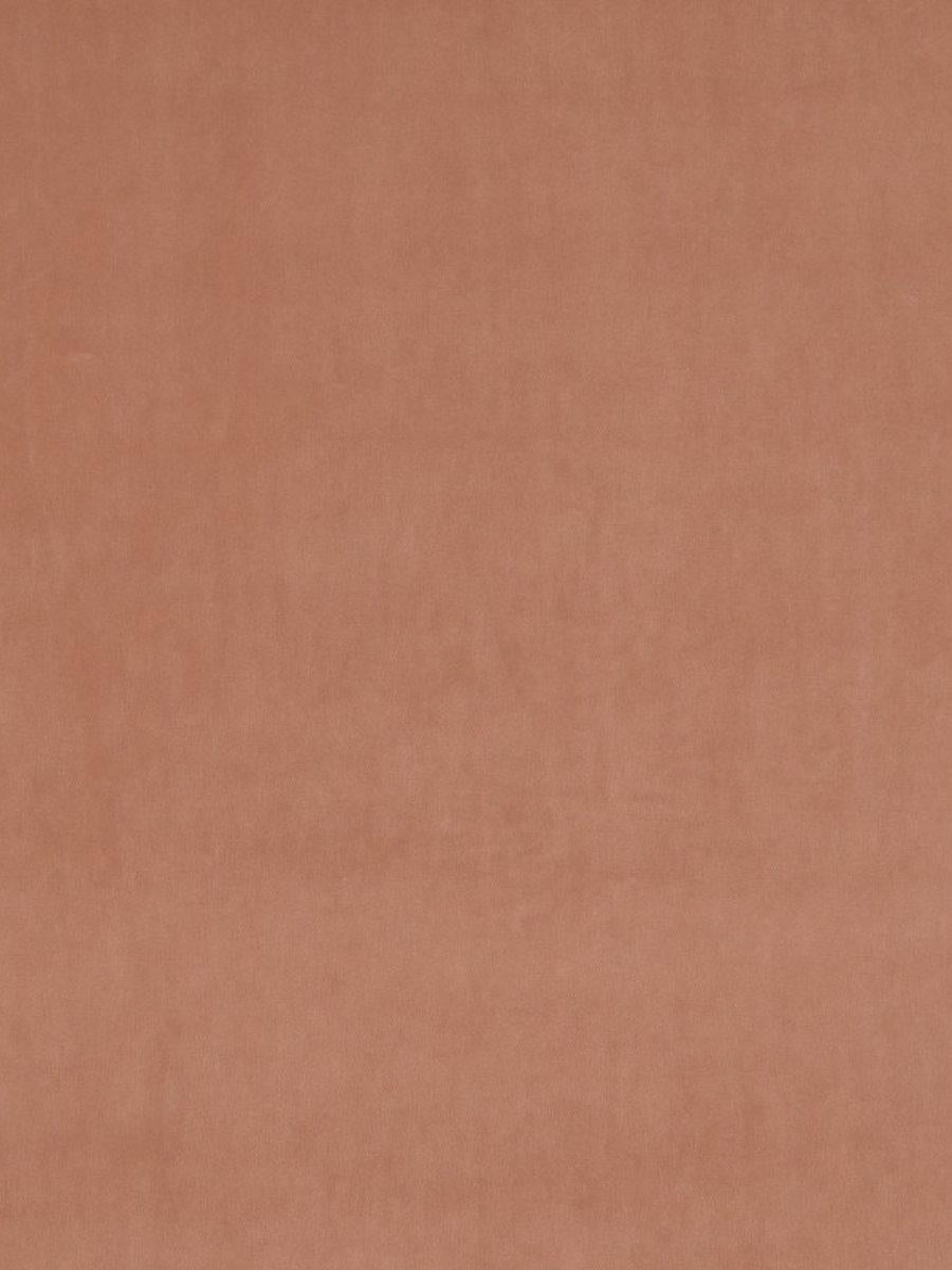 Scalamandre Vip Salmon Fabric