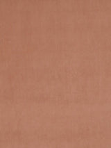 Scalamandre Vip Salmon Fabric