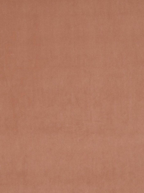 Scalamandre Vip Salmon Fabric