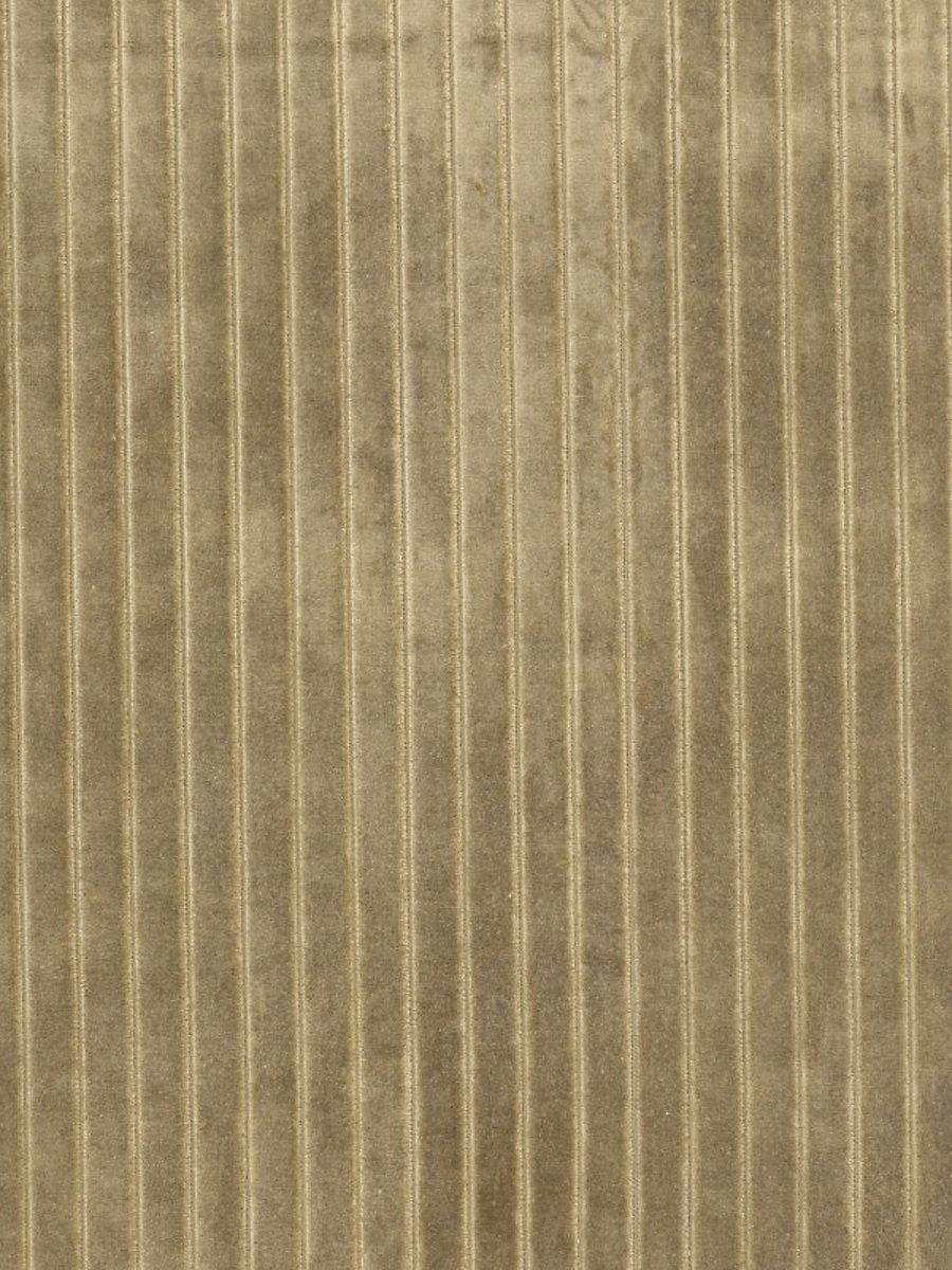 Scalamandre Velvet Stripe Khaki Fabric
