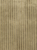 Scalamandre Velvet Stripe Khaki Fabric