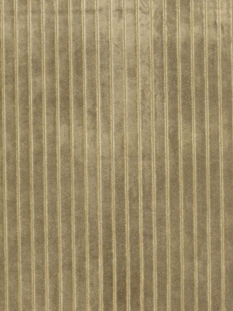 Scalamandre Velvet Stripe Khaki Fabric