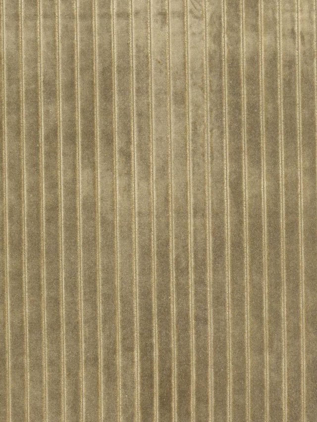Scalamandre Velvet Stripe Khaki Fabric