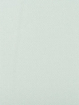 Scalamandre Foggy Sea Spray Fabric