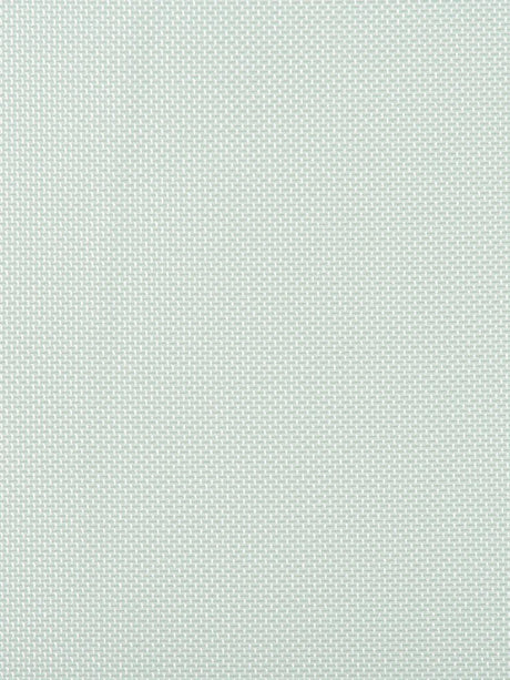 Scalamandre Foggy Sea Spray Fabric