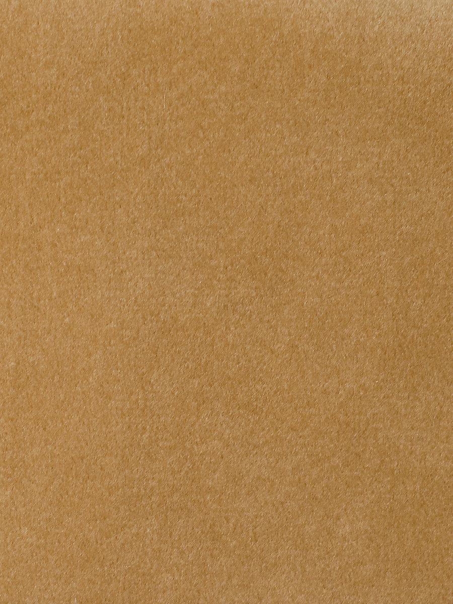 Scalamandre Safety Velvet Latte Fabric