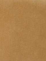 Scalamandre Safety Velvet Latte Fabric