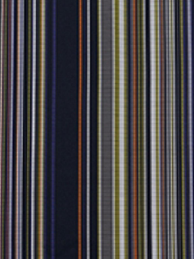 Scalamandre Stripe Mania Tropikal Black Fabric