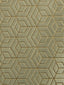 Scalamandre Hoopstar Pelican Gold Fabric