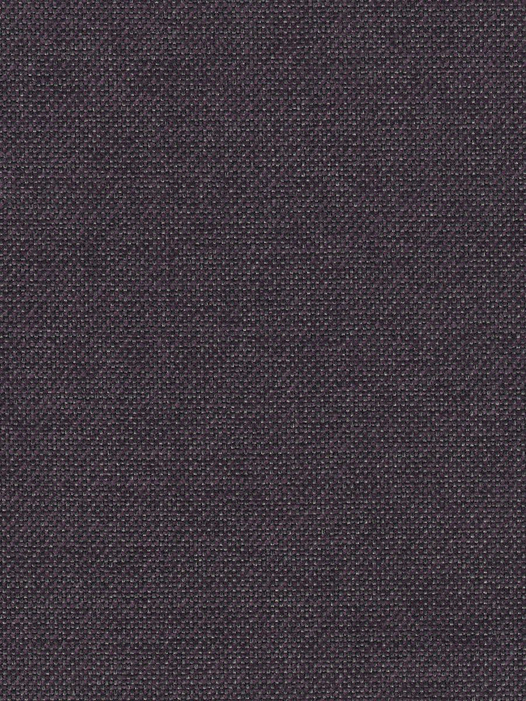 Aldeco Slow Purple Fabric