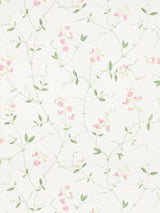 Scalamandre Sanna Light Pink Wallpaper