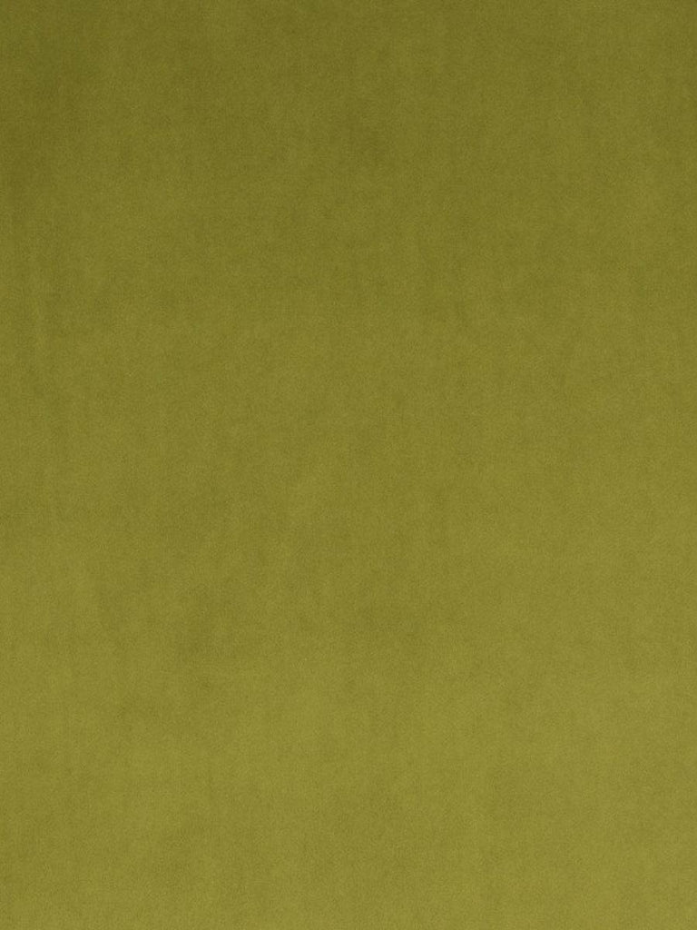 Christian Fischbacher Vip Olive Fabric