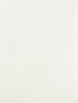 Scalamandre Foggy Endive Fabric