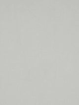 Scalamandre Sonatine Mist Fabric