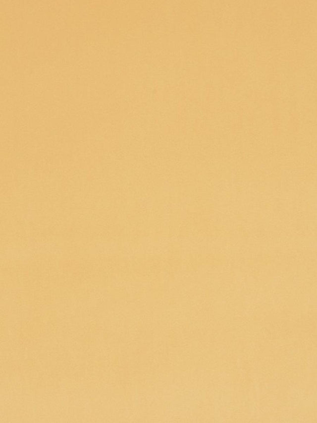 Scalamandre Vip Mustard Fabric