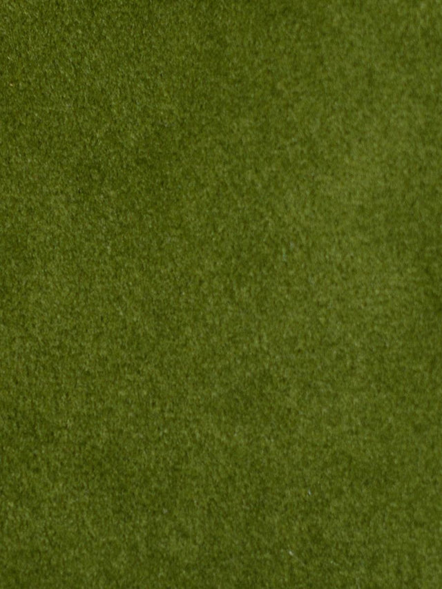 Scalamandre Safety Velvet Eden Green Fabric