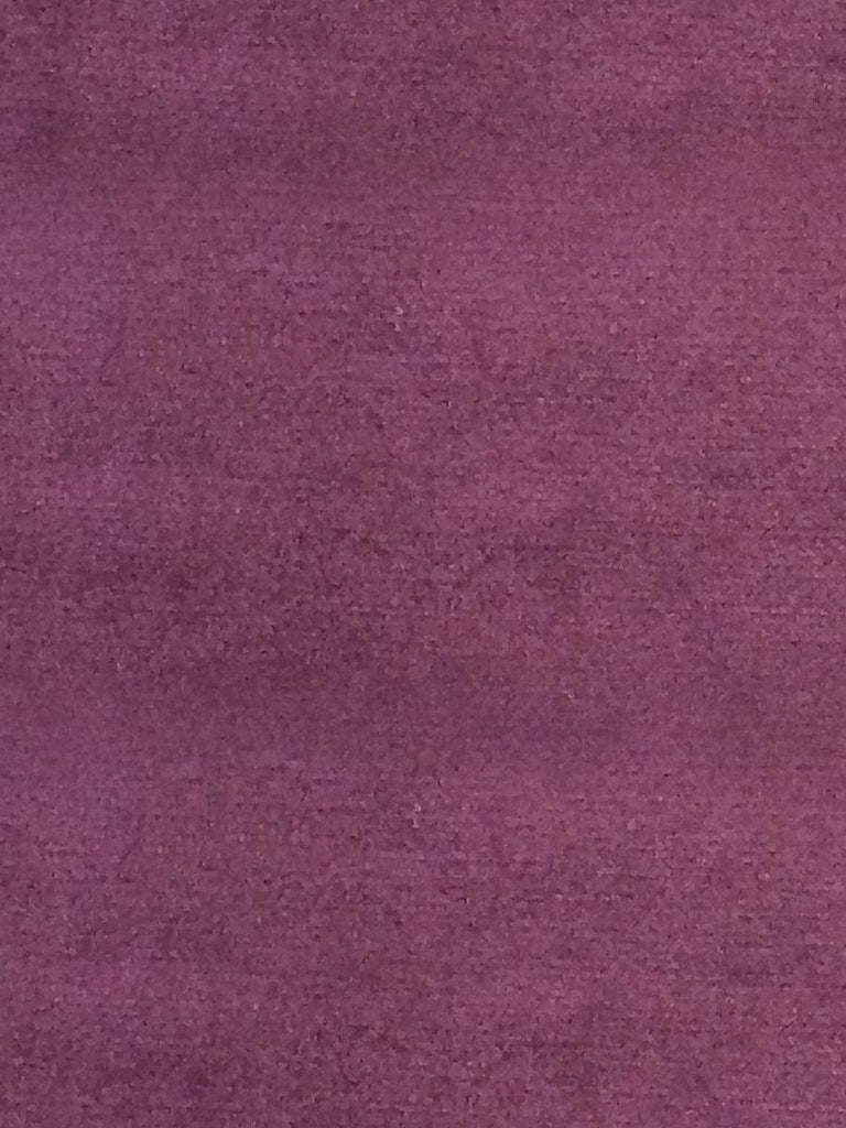 Aldeco Sucesso - Wide Width Velvet Deep Violet Fabric