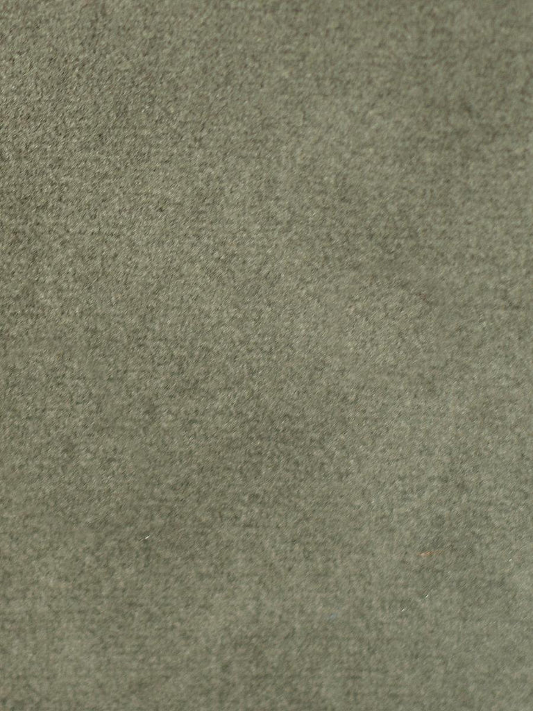 Aldeco Safety Velvet Charcoal Gray Fabric