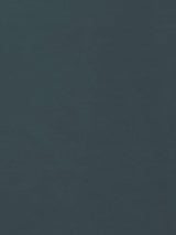 Scalamandre Project Water Repellent Horizon Blue Fabric