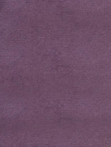Scalamandre Sucesso | Wide Width Velvet Deep Purple Fabric