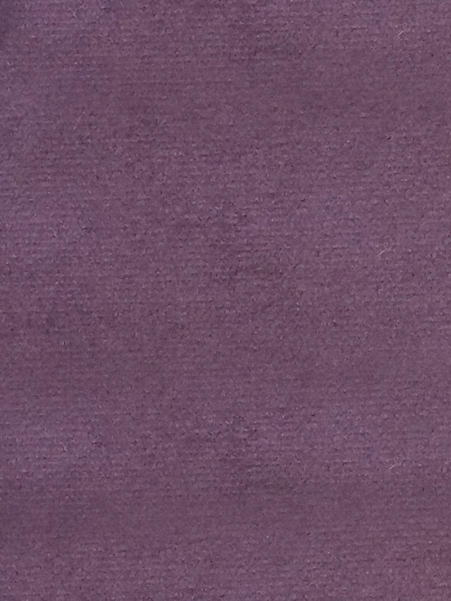 Scalamandre Sucesso | Wide Width Velvet Deep Purple Fabric