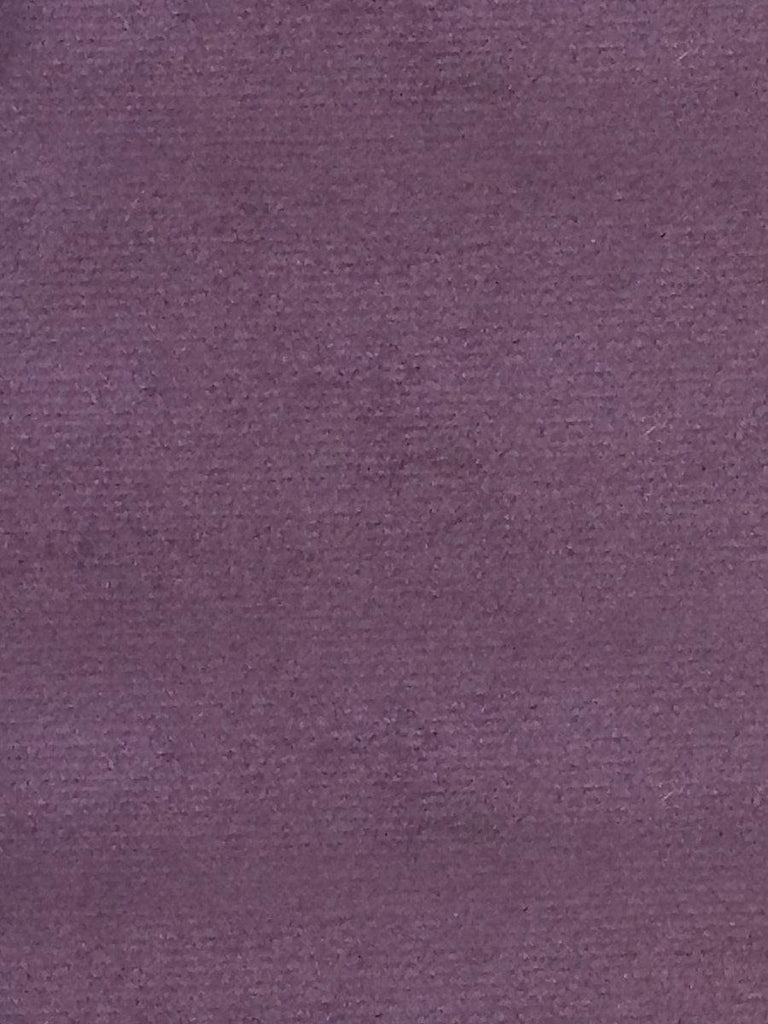 Aldeco Sucesso - Wide Width Velvet Deep Purple Fabric